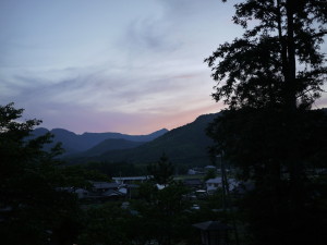 P1010647